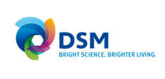 DSM MASTER